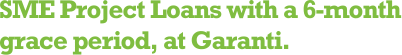 SME Project Loan with a 6-month grace period, at Garanti.