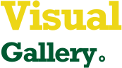Visual Gallery